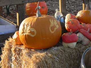 Fire Ball, Nipomo Pumpkin Patch best carving idea
